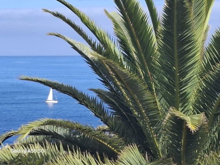 Apartamento con terraza y vistas al océano en Los Gigantes