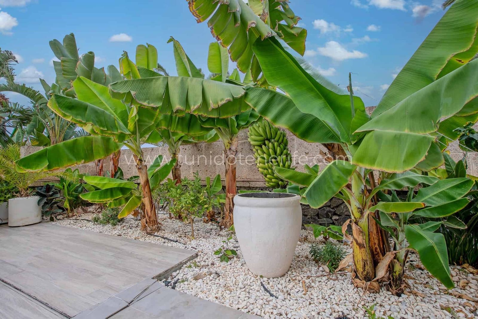 Jardín con plantas tropicales y gran maceta decorativa