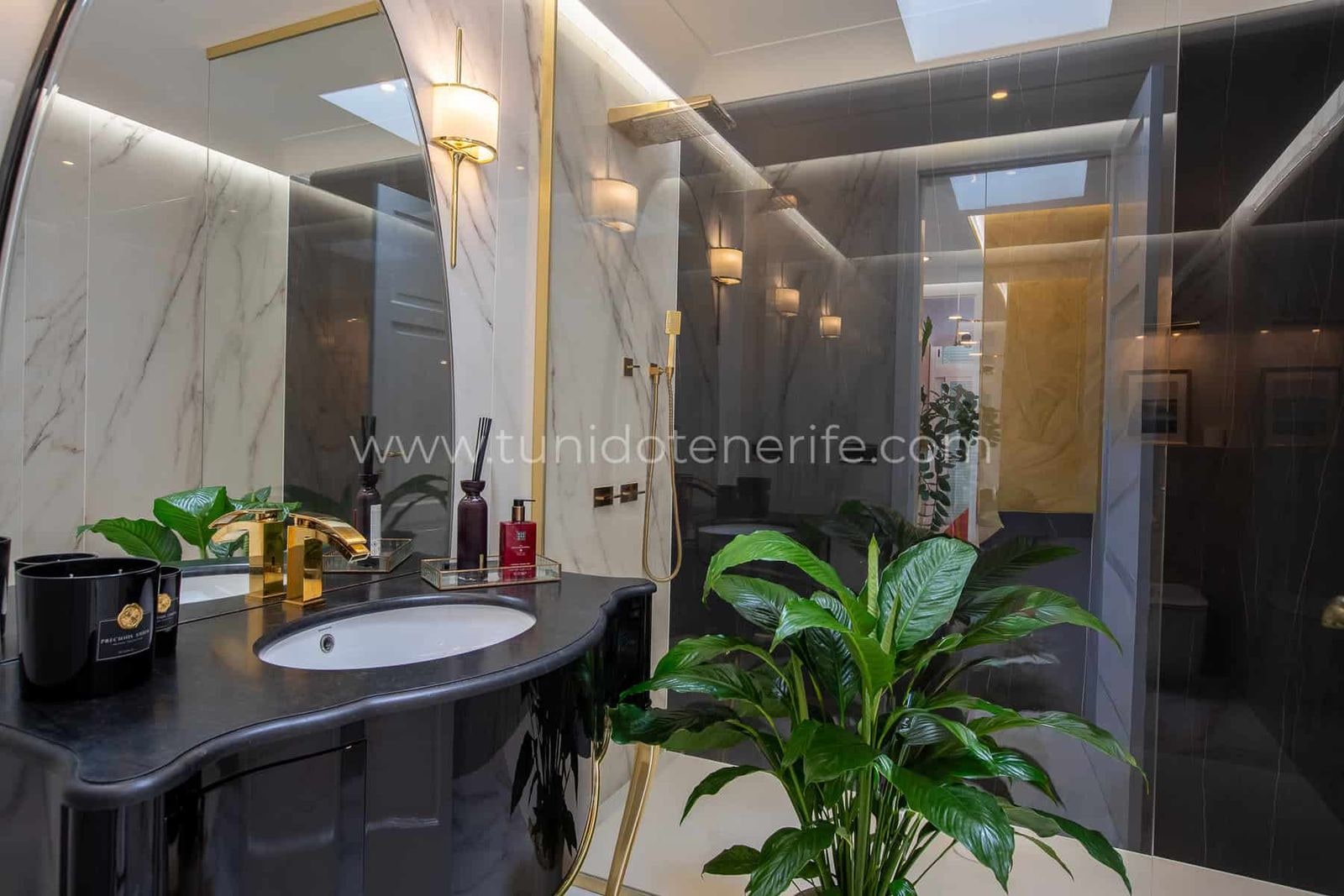 Baño moderno con lavabo negro, espejos y planta verde