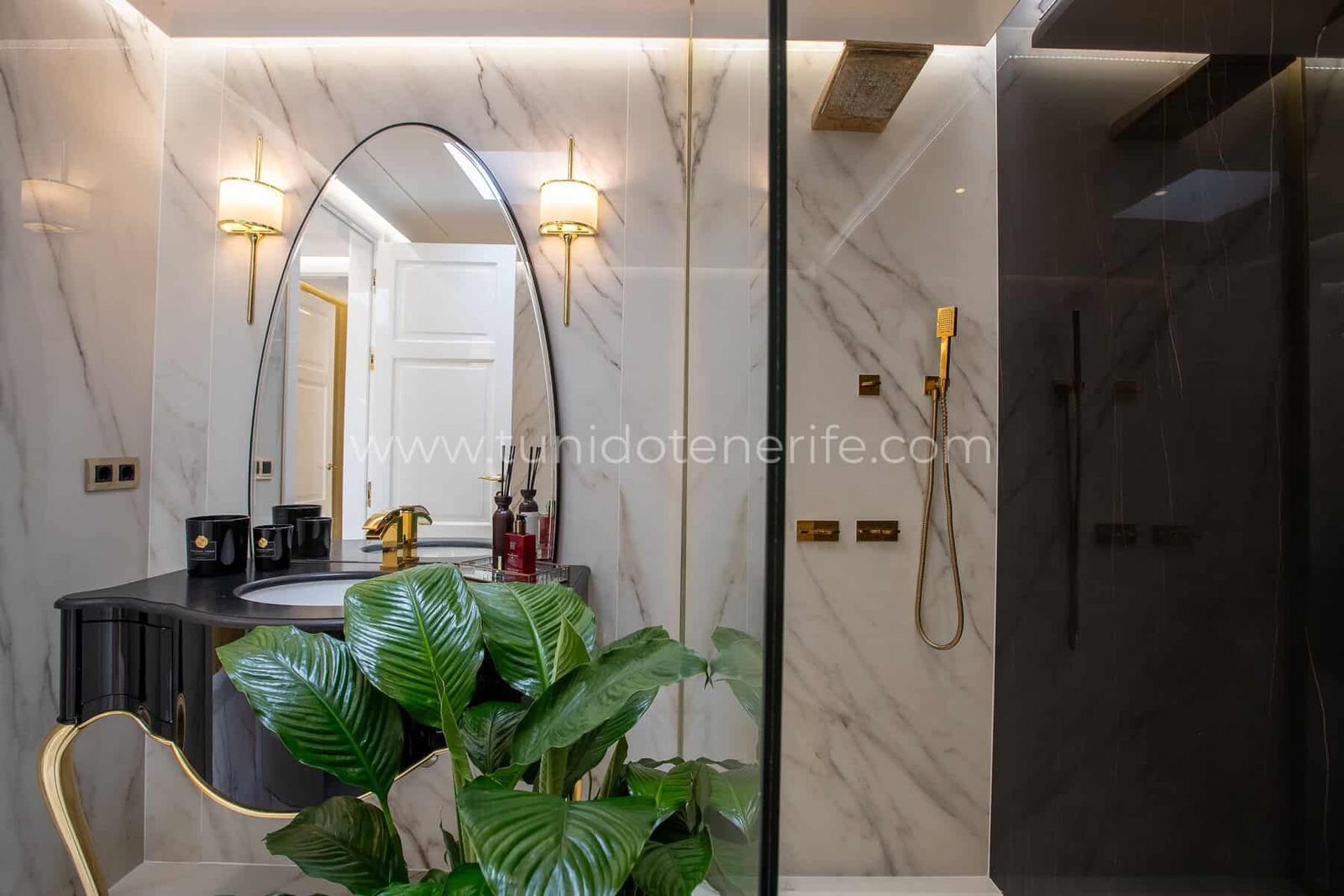 Baño moderno con ducha de cristal, lavabo ovalado y planta