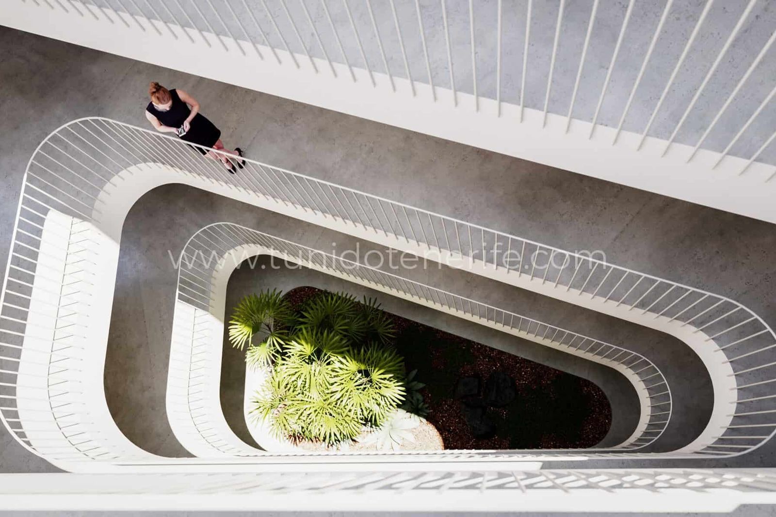 Scară interioară cu balustrade albe și plantă centrală
