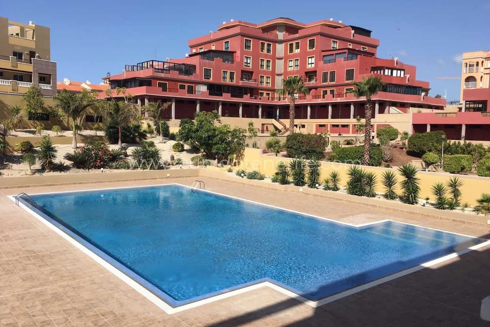 Piscină exterioară lângă grădini și clădiri rezidențiale