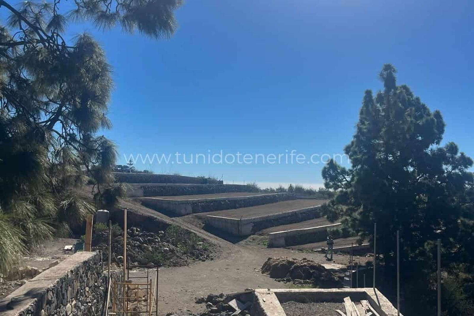 Terraced cultivation plots with trees and clear sky