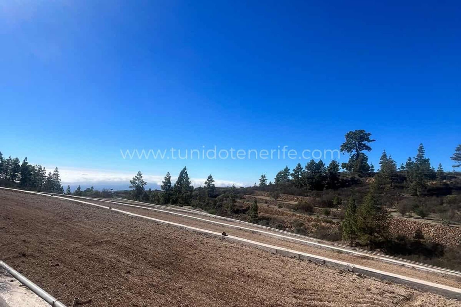 Cleared land with vegetation and clear sky