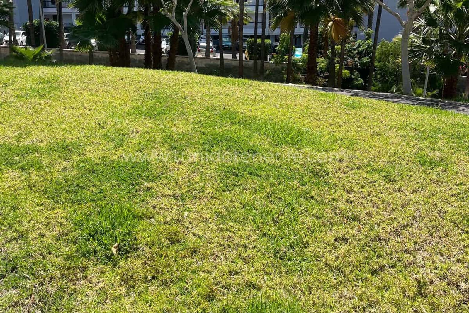 Studio for sale in San Eugenio Bajo, Costa Adeje