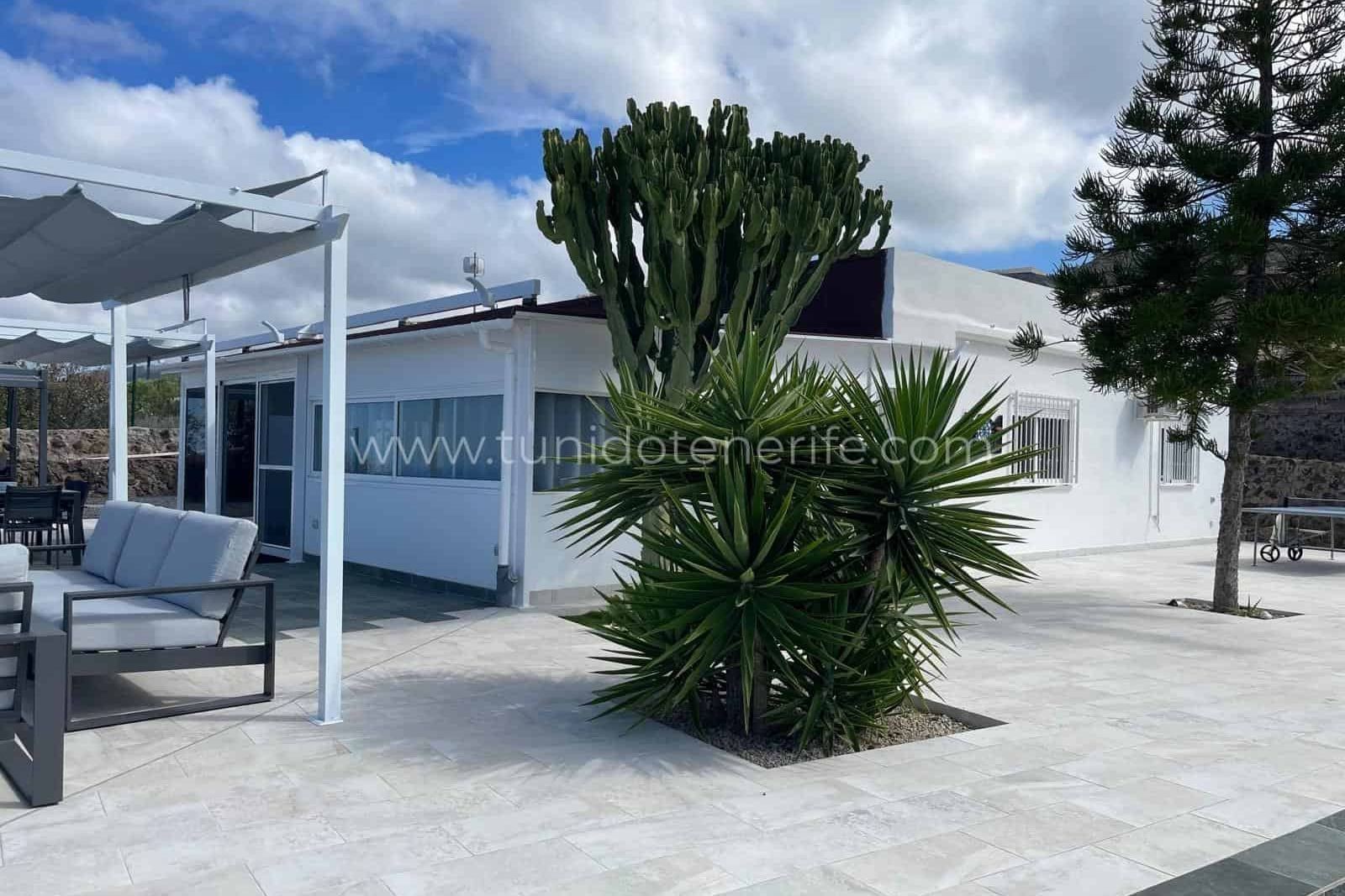 Terasă exterioară cu pergolă, canapea și plante tropicale