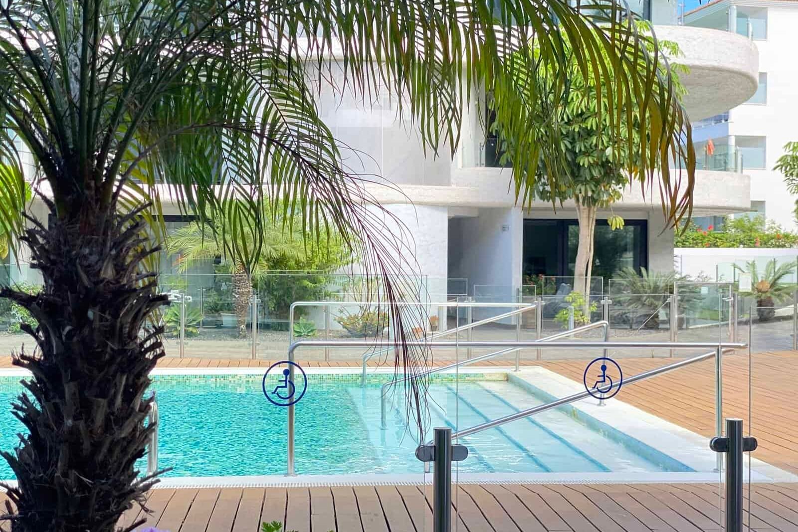 Outdoor pool with palm tree and wooden deck
