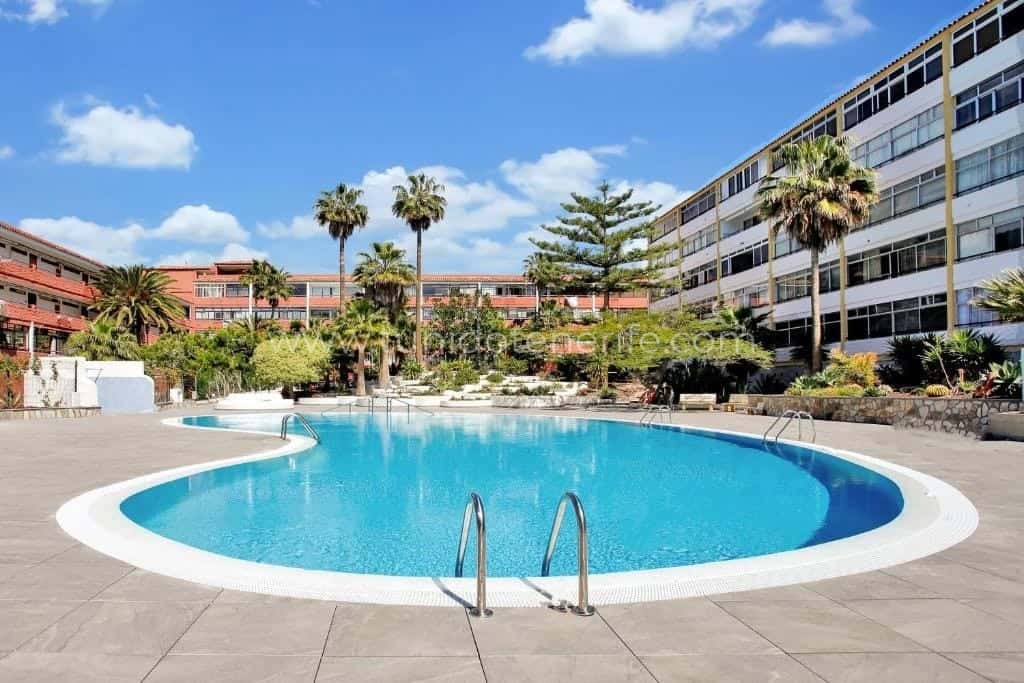 Piscină exterioară înconjurată de palmieri și grădini