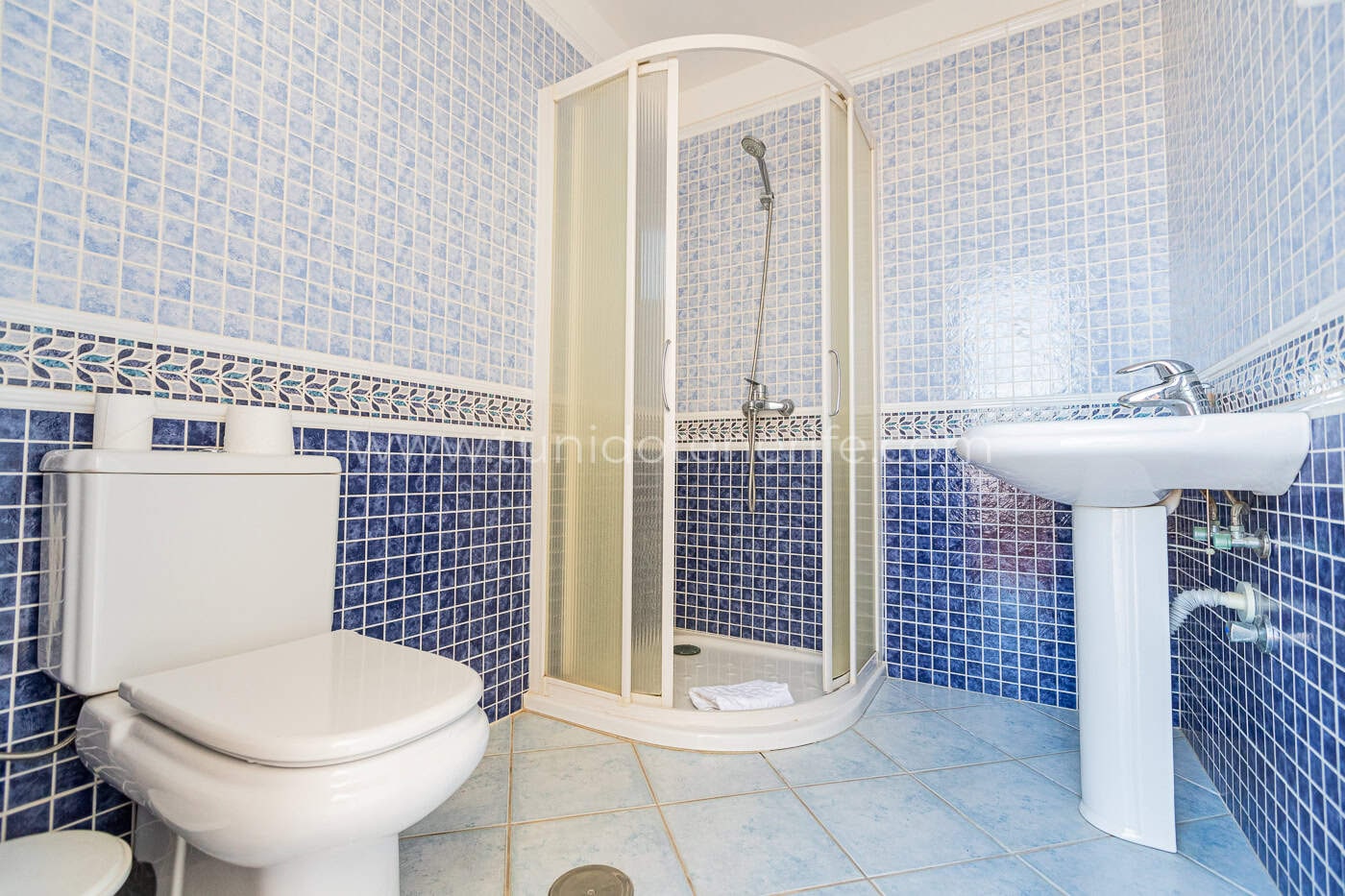Bagno con doccia, lavabo e toilette