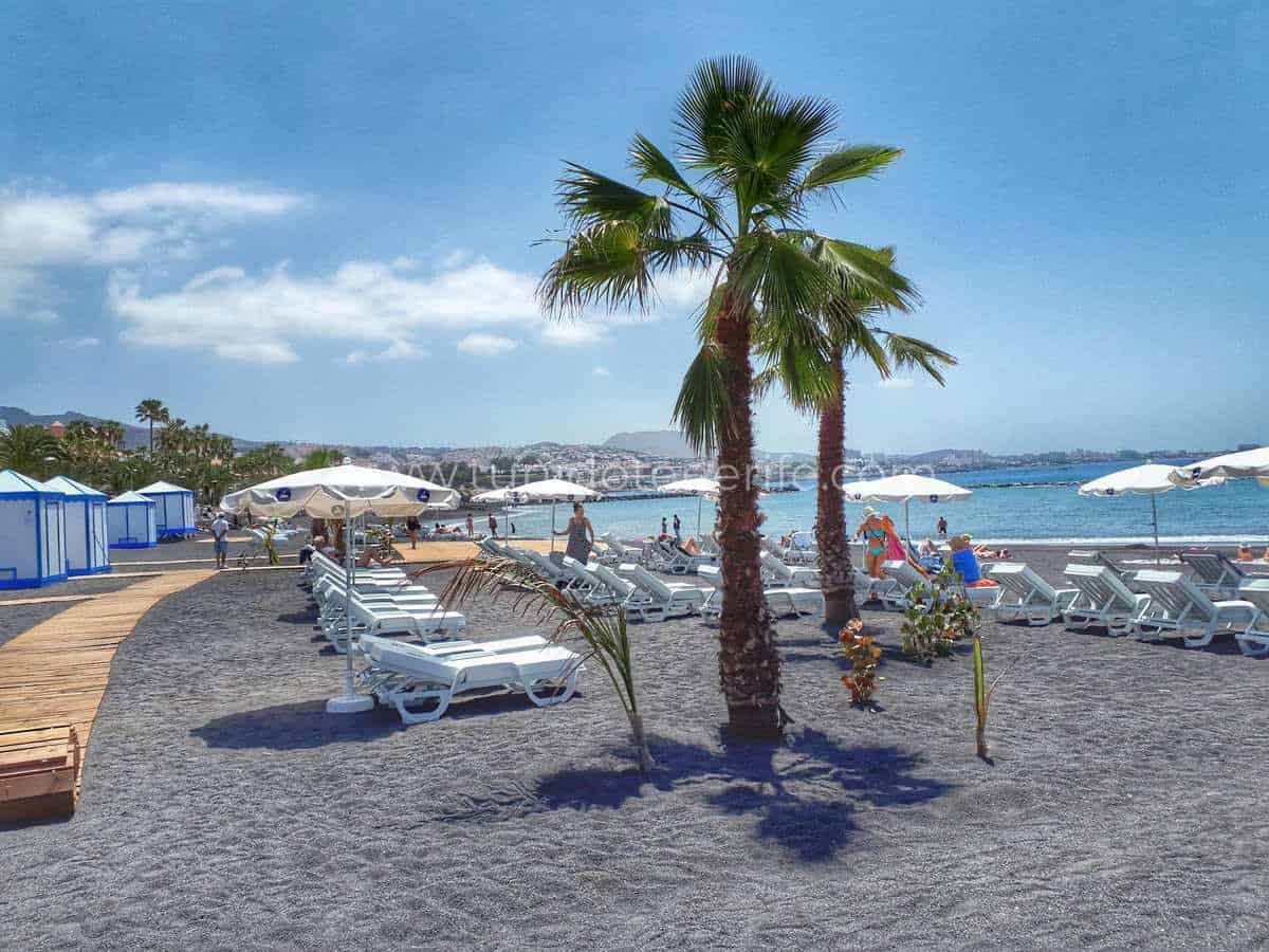 Beach with sun loungers, umbrellas and palm trees by the sea