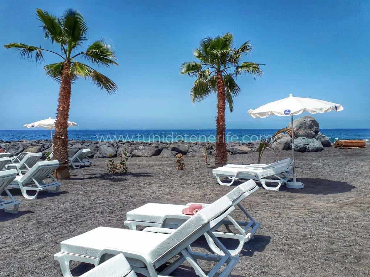 Terrace with loungers, palm trees and sea view