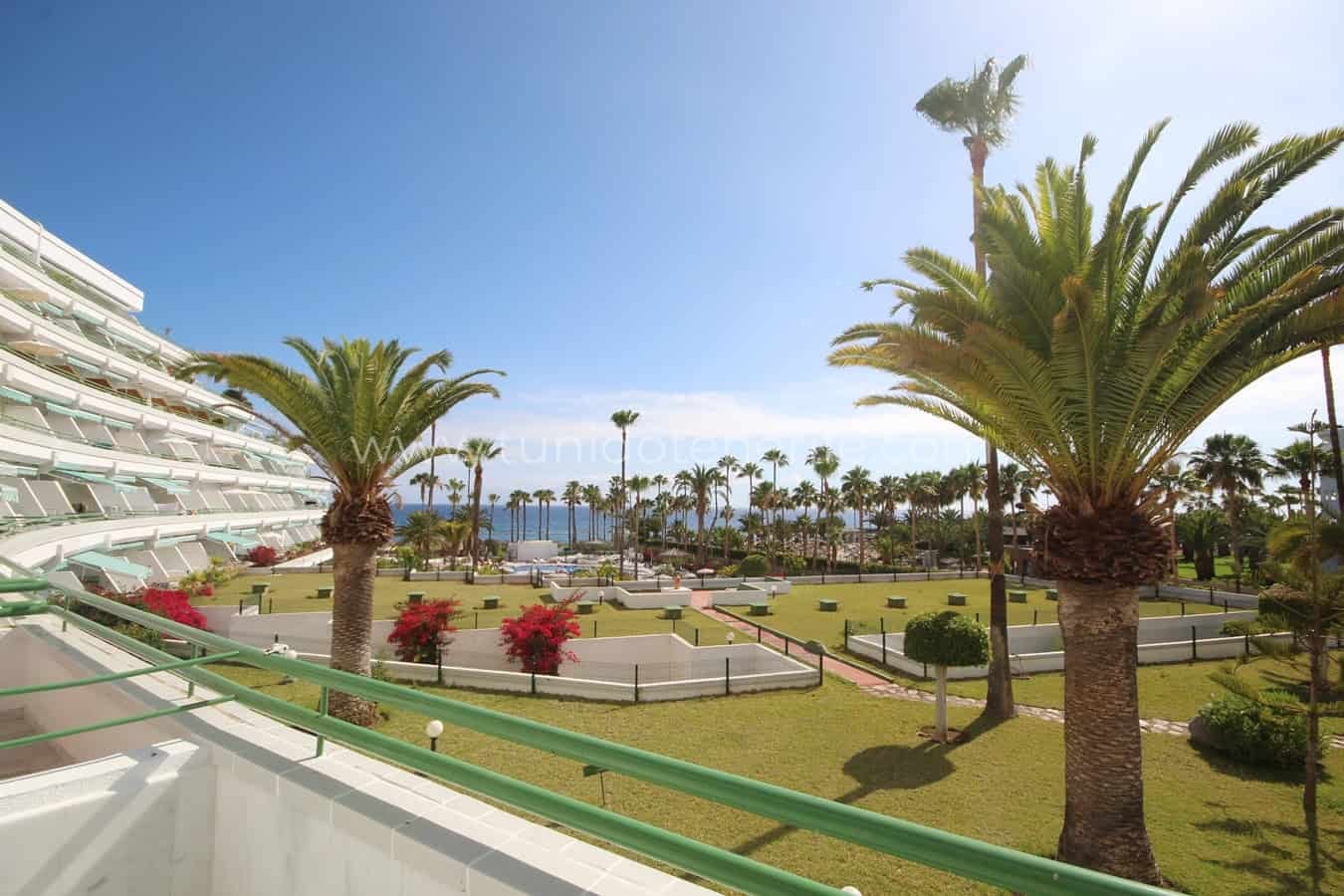 Terrace with palm trees and garden facing the sea