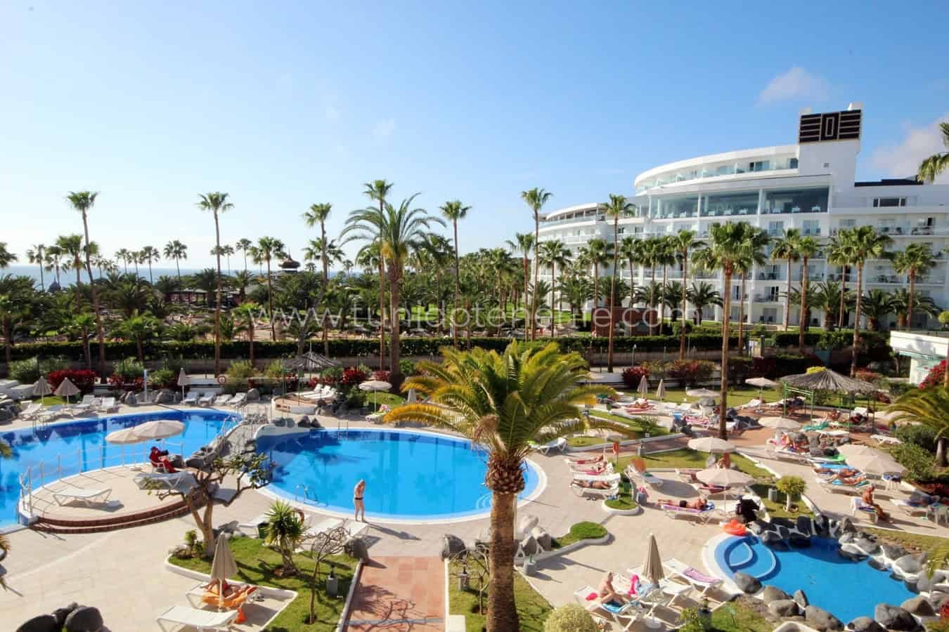 Outdoor pool surrounded by sun loungers and palm trees