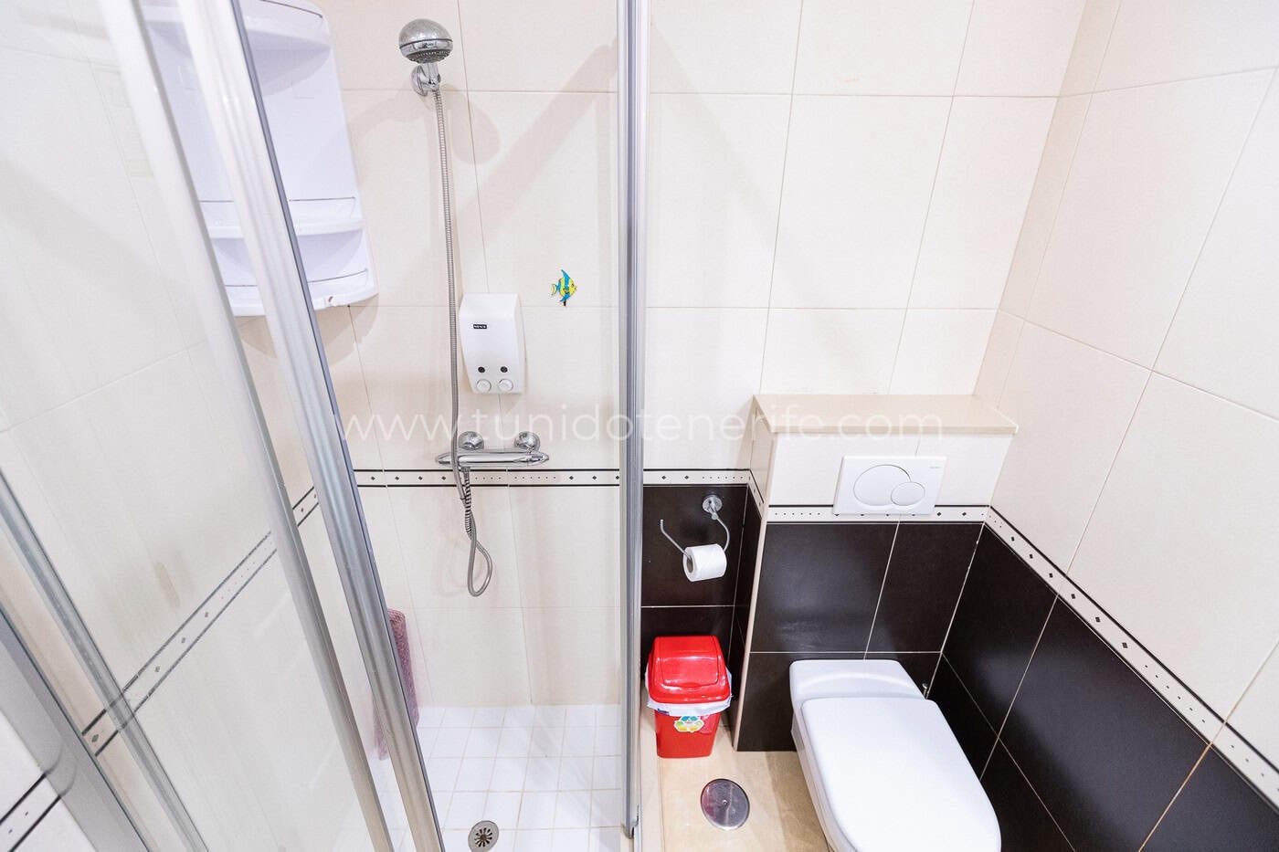 Salle de bain avec douche, toilettes et carreaux blancs et noirs