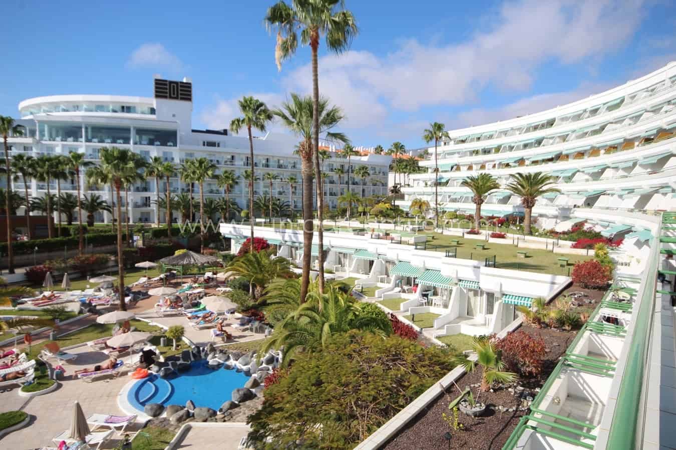 Outdoor pool with palm trees and landscaped gardens