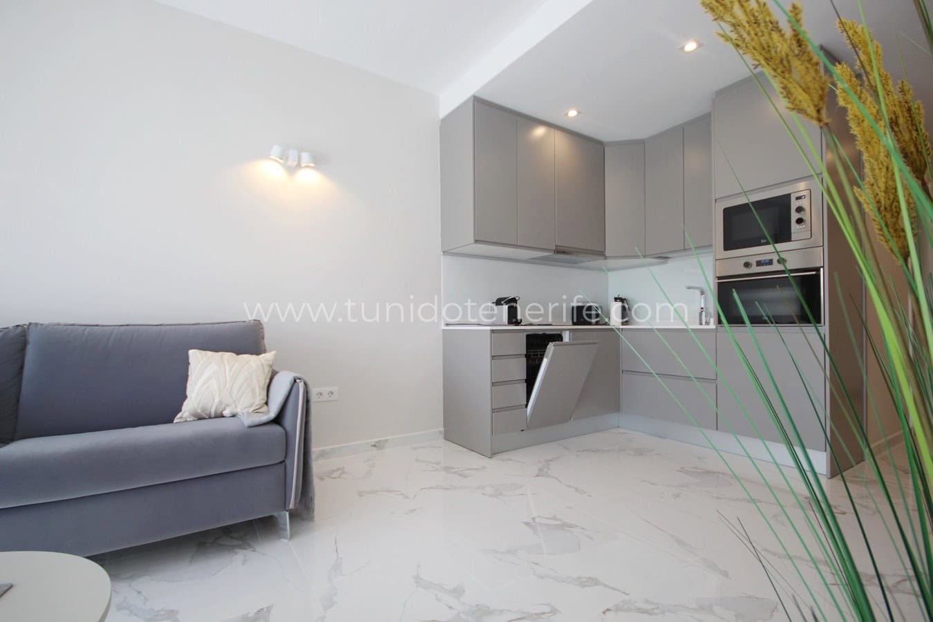 Living room with open kitchen and gray sofa