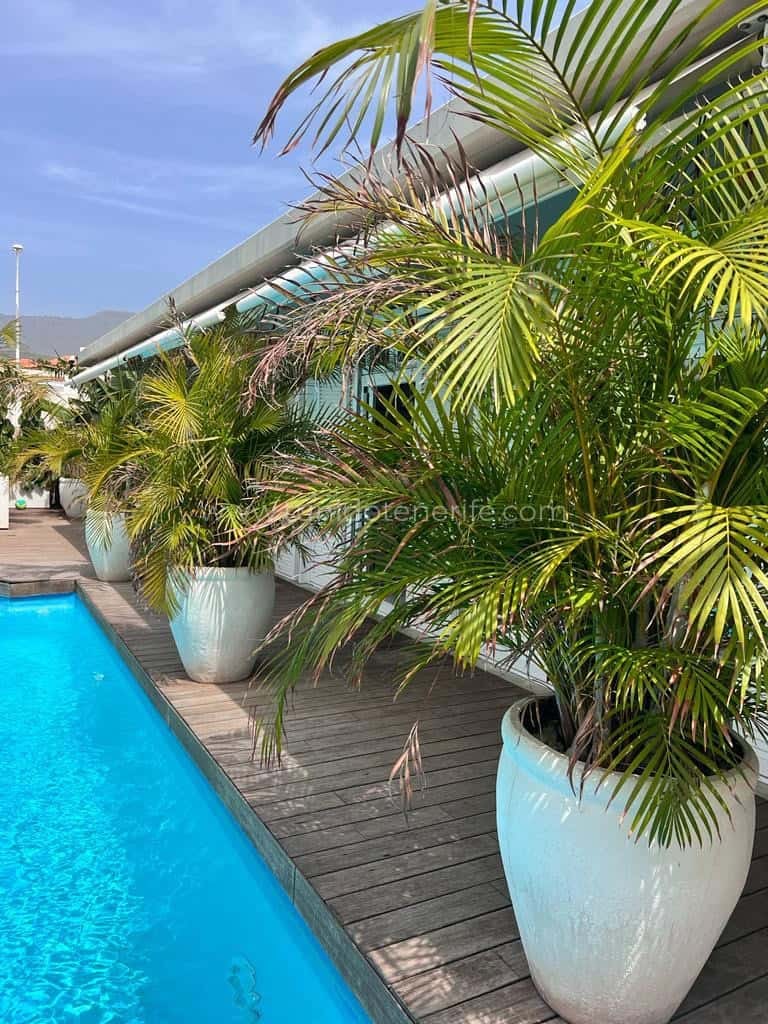 Villa in vendita a El Madroñal de Fañabe, Costa Adeje
