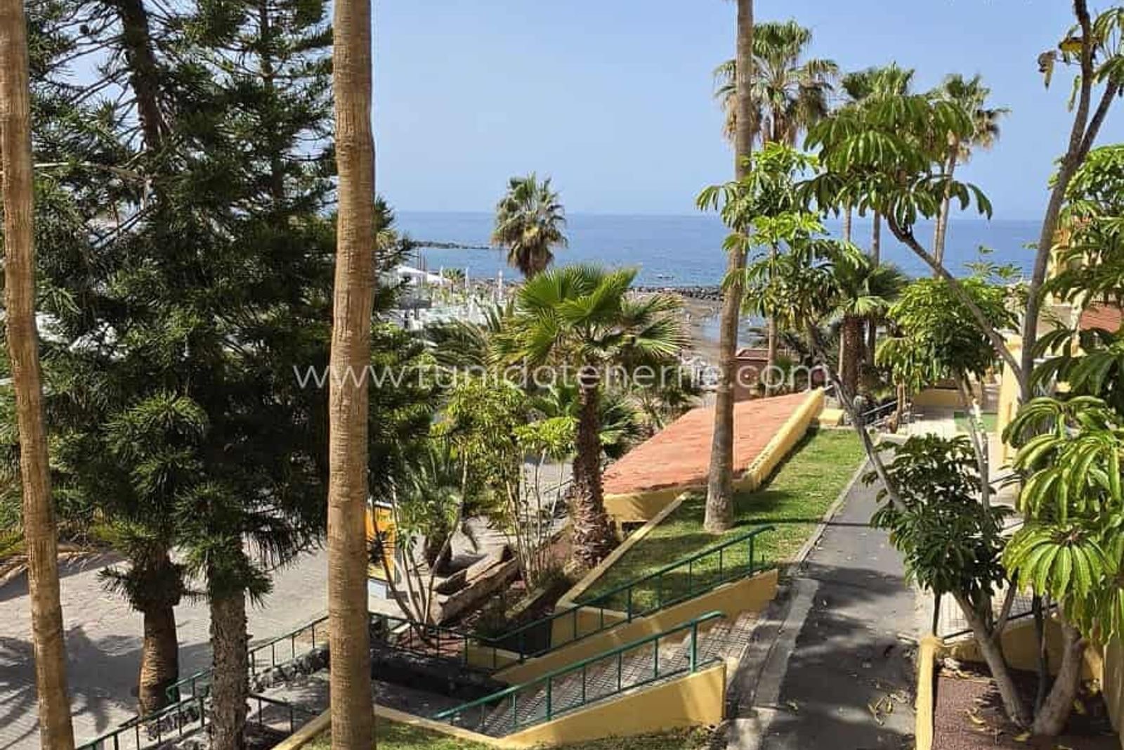 Apartamento en Las Américas con palmeras y vistas al mar