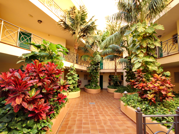 Penthouse à vendre à Tenerife South, Los Cristianos, Tu Nido Tenerife