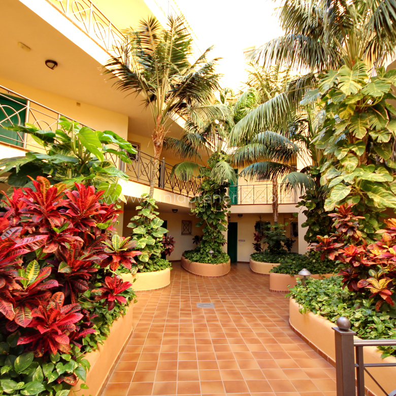 Penthouse for sale in Tenerife South, Los Cristianos, Tu Nido Tenerife