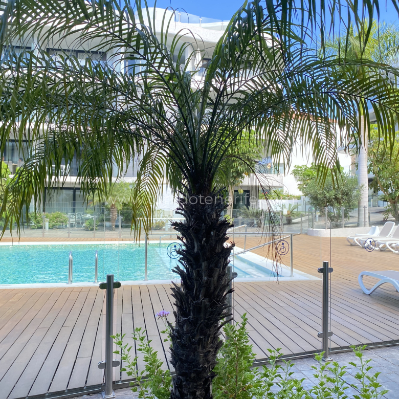 Apartamento en venta en Palm Mar, Tenerife Sur, Tu Nido Tenerife
