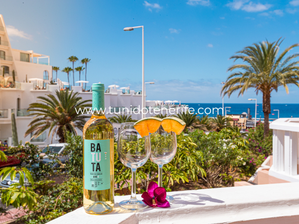 Estudio en Alquiler en Playa de Fañabe, Tenerife Sur, Tu Nido Tenerife